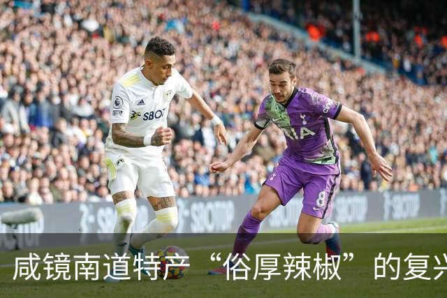 咸镜南道特产“俗厚辣椒”的复兴与文化意义